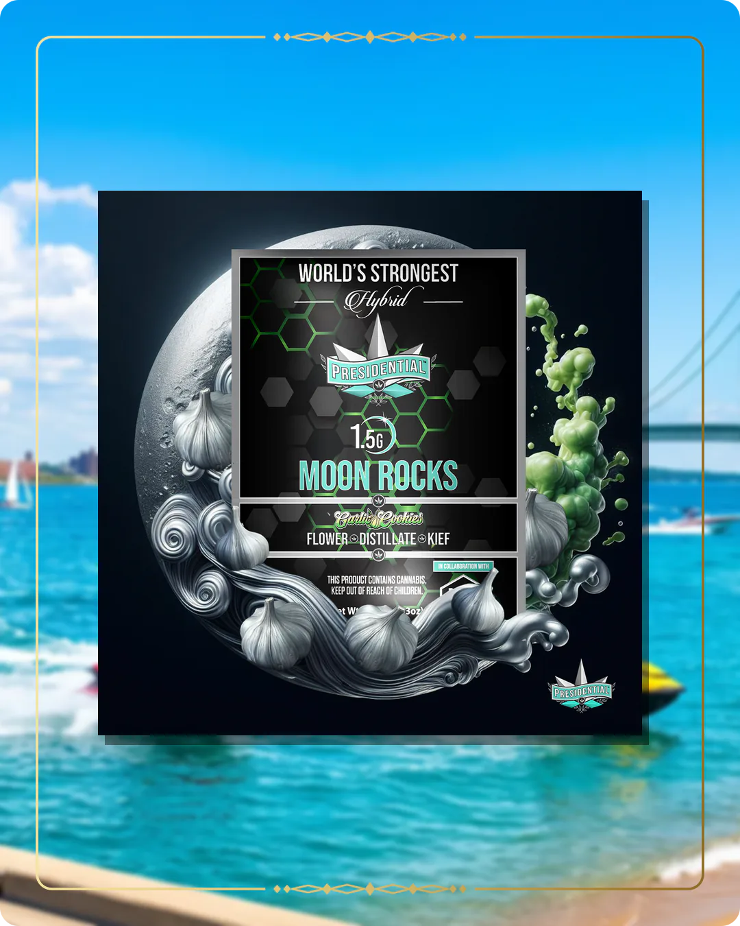 Garlic Cookies Presidential Moon Rock for the Michigan Find Us page