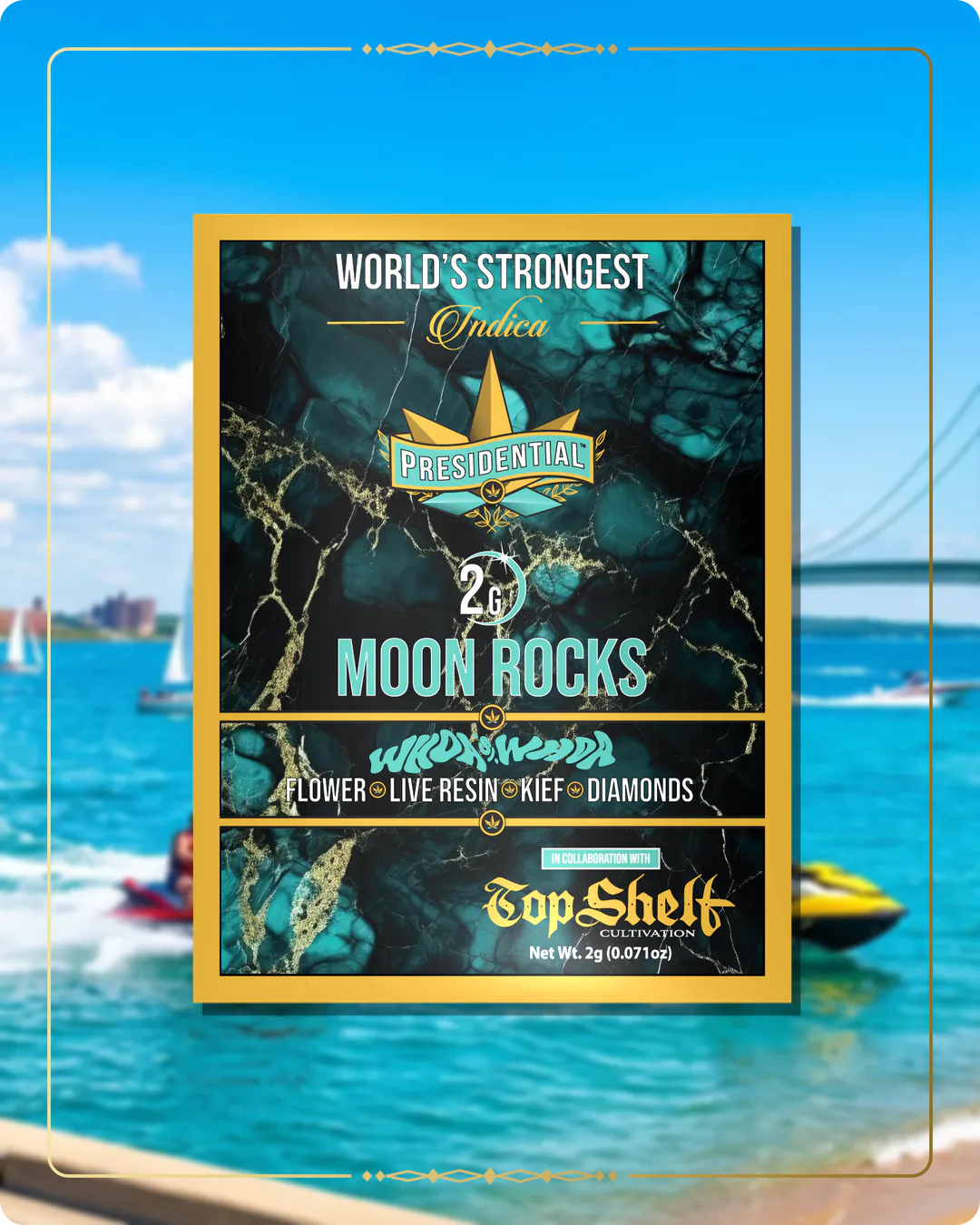 Whoa Si Whoa Presidential Moon Rock for the Michigan market page