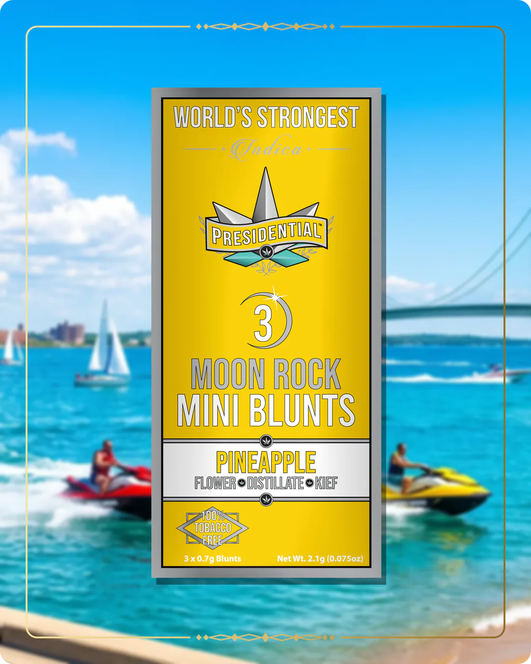 Pineapple Presidential mini for the Michigan Find Us page