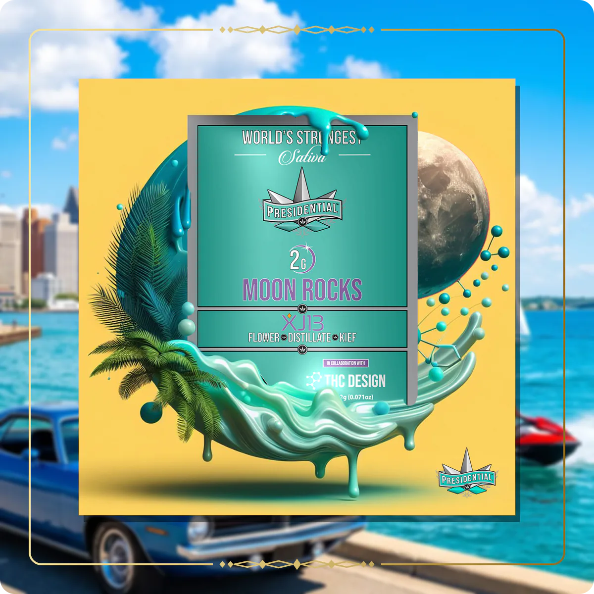 XJ-13 Presidential Moon Rock variant 2 for the Michigan Gold page