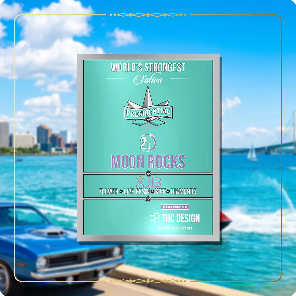 XJ-13 Presidential Moon Rock for the Michigan Gold page